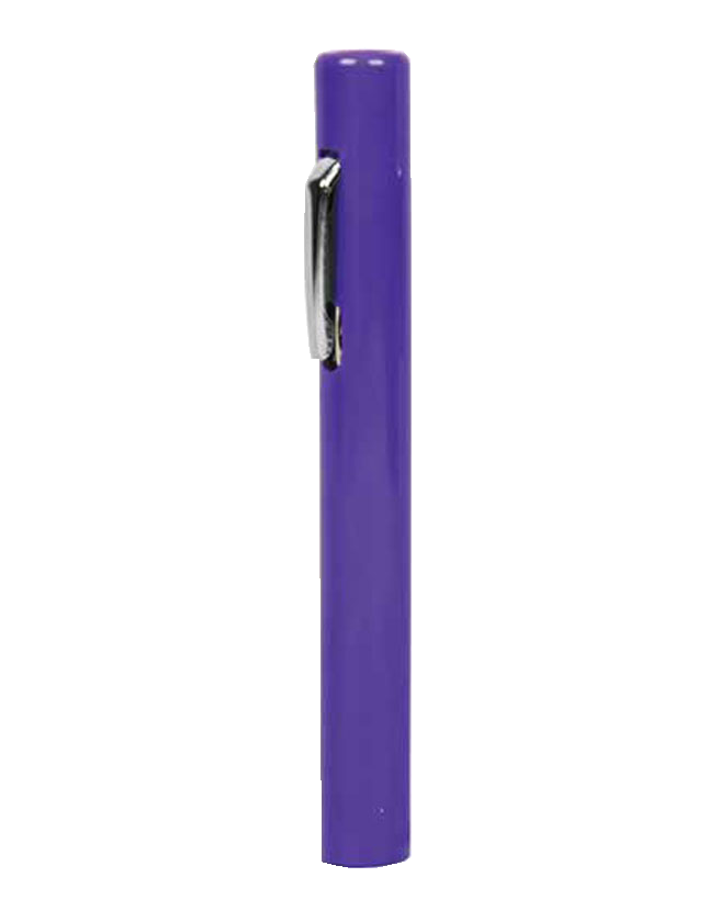 Disposable Neurological Torch Purple