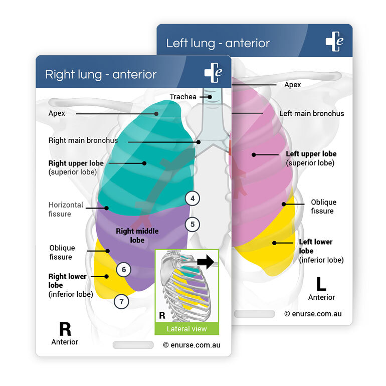 eNurse Assessment Card - Lungs Anterior