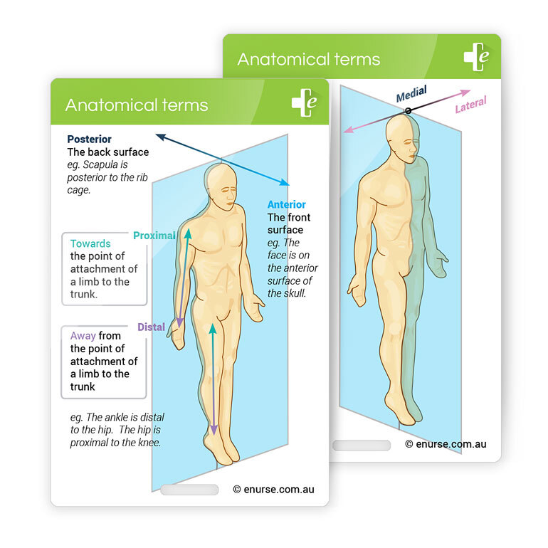 eNurse Assessment Card - Anatomical Terms