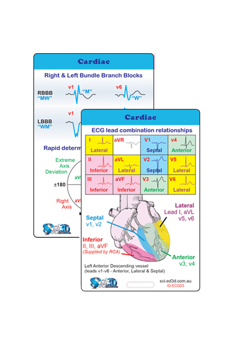 Sci-ed 3D - ECG Lead Combo Ref Card (Cardiac Card)