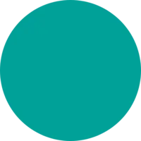 Teal (Light)
