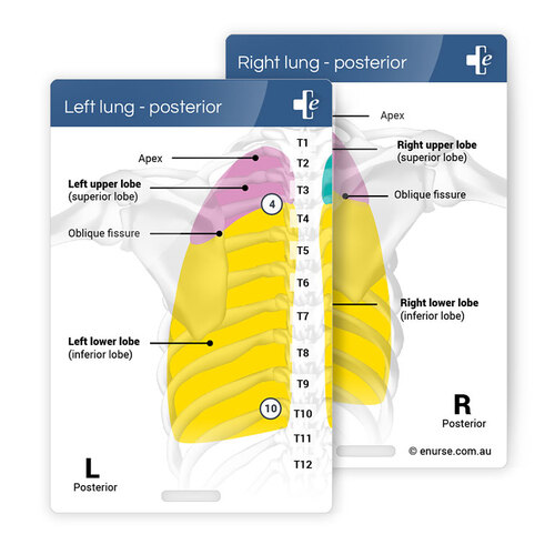 eNurse Assessment Card - Lungs Posterior