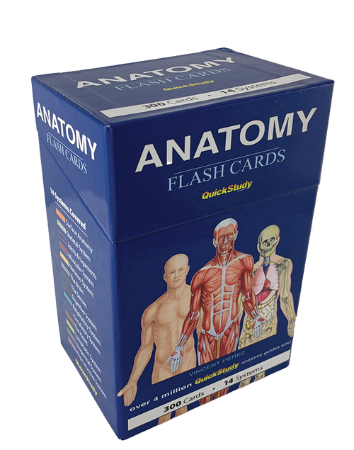 QuickStudy (Flashcards) - Anatomy